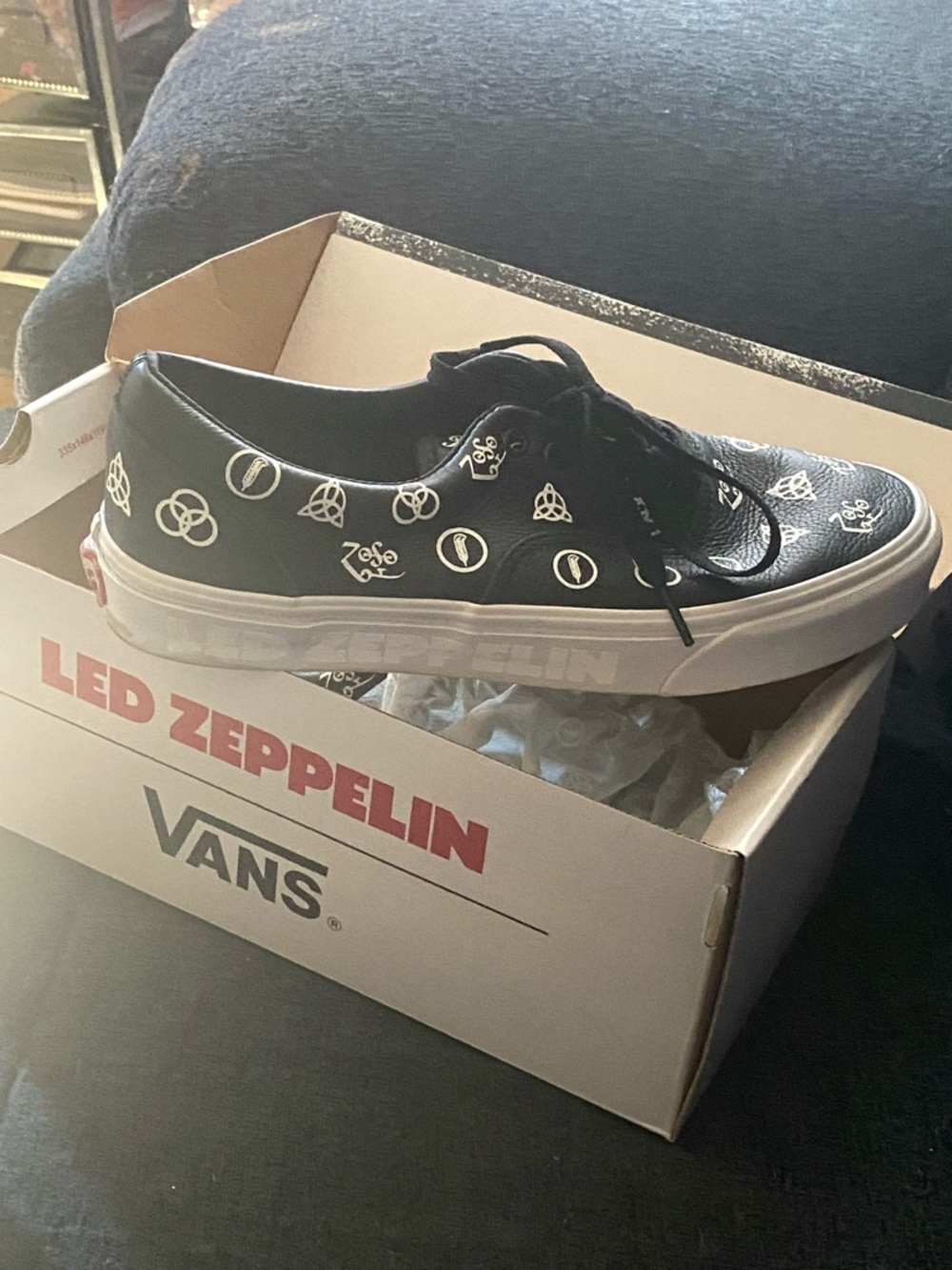 Vans Black LED Zeppelin Low-Top Leather Sneakers